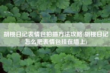 胡桃日记表情包拍摄方法攻略(胡桃日记怎么把表情包挂在墙上)
