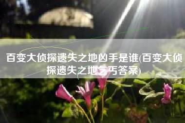 百变大侦探遗失之地凶手是谁(百变大侦探遗失之地乞丐答案)