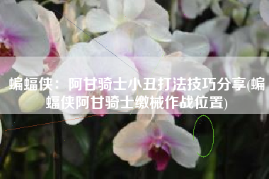 蝙蝠侠：阿甘骑士小丑打法技巧分享(蝙蝠侠阿甘骑士缴械作战位置)