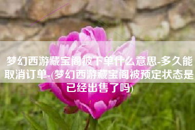 梦幻西游藏宝阁被下单什么意思-多久能取消订单-(梦幻西游藏宝阁被预定状态是已经出售了吗)