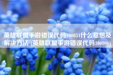 英雄联盟手游错误代码100034什么意思及解决方法 (英雄联盟手游错误代码100006)