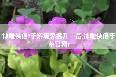 神雕侠侣2手游境界提升一览(神雕侠侣手游官网)