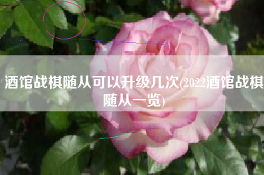 酒馆战棋随从可以升级几次(2022酒馆战棋随从一览)