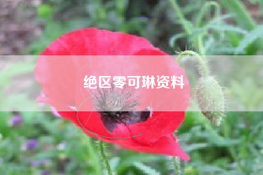 绝区零可琳资料