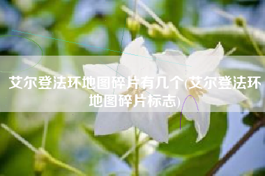 艾尔登法环地图碎片有几个(艾尔登法环地图碎片标志)