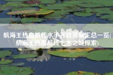航海王热血航线水手答题答案汇总一览(航海王热血航线七水之城探索)