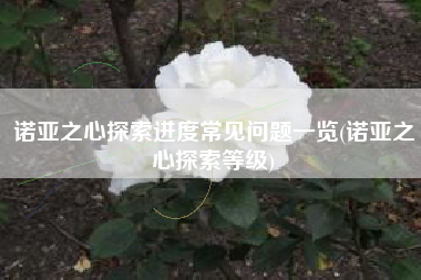 诺亚之心探索进度常见问题一览(诺亚之心探索等级)