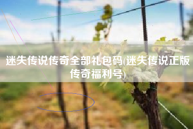 迷失传说传奇全部礼包码(迷失传说正版传奇福利号)