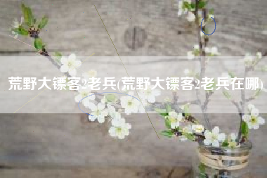 荒野大镖客2老兵(荒野大镖客2老兵在哪)