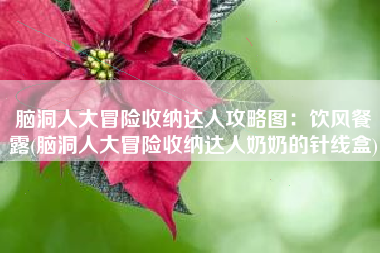 脑洞人大冒险收纳达人攻略图：饮风餐露(脑洞人大冒险收纳达人奶奶的针线盒)