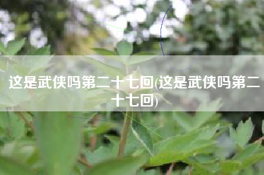 这是武侠吗第二十七回(这是武侠吗第二十七回)