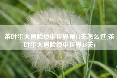 茶叶蛋大冒险镜中世界第11关怎么过(茶叶蛋大冒险镜中世界43关)