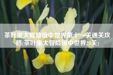 茶叶蛋大冒险镜中世界第十一关通关攻略(茶叶蛋大冒险镜中世界24关)