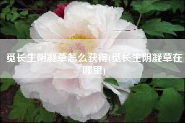 觅长生阴凝草怎么获得(觅长生阴凝草在哪里)