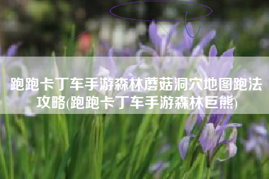 跑跑卡丁车手游森林蘑菇洞穴地图跑法攻略(跑跑卡丁车手游森林巨熊)