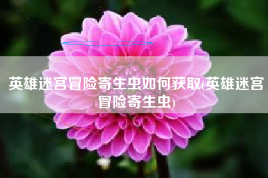 英雄迷宫冒险寄生虫如何获取(英雄迷宫冒险寄生虫)