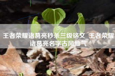 王者荣耀诸葛亮秒杀三级铭文_王者荣耀诸葛亮名字古风仙气