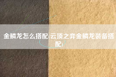 金鳞龙怎么搭配(云顶之弈金鳞龙装备搭配)