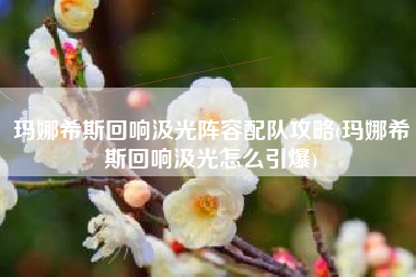 玛娜希斯回响汲光阵容配队攻略(玛娜希斯回响汲光怎么引爆)