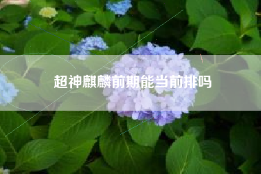 超神麒麟前期能当前排吗