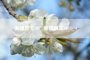 赛博朋克2077(赛博朋克2077)_4