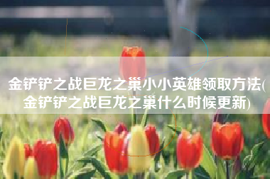 金铲铲之战巨龙之巢小小英雄领取方法(金铲铲之战巨龙之巢什么时候更新)