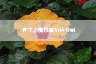逆生之都白雪角色介绍