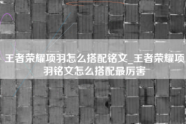 王者荣耀项羽怎么搭配铭文_王者荣耀项羽铭文怎么搭配最厉害