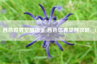 茜色世界觉醒图鉴(茜色世界觉醒攻略)_1