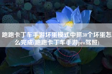 跑跑卡丁车手游坏蛋模式中抓30个坏蛋怎么完成(跑跑卡丁车手游pro驾照)