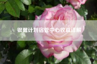 银翼计划宿管中心收益详解