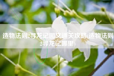 造物法则2寻龙记图文通关攻略(造物法则2寻龙记哪里)