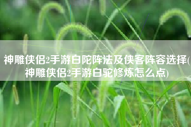 神雕侠侣2手游白陀阵法及侠客阵容选择(神雕侠侣2手游白驼修炼怎么点)