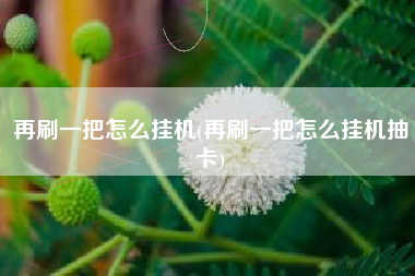再刷一把怎么挂机(再刷一把怎么挂机抽卡)