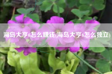 海岛大亨6怎么赚钱(海岛大亨6怎么独立)