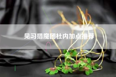 见习猎魔团杜内加点推荐