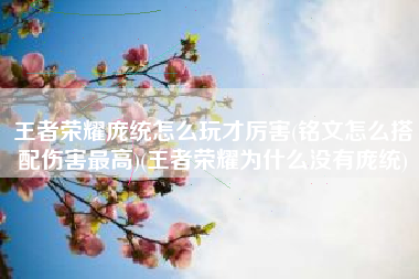 王者荣耀庞统怎么玩才厉害(铭文怎么搭配伤害最高)(王者荣耀为什么没有庞统)