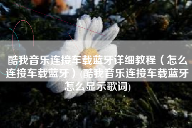 酷我音乐连接车载蓝牙详细教程（怎么连接车载蓝牙）(酷我音乐连接车载蓝牙怎么显示歌词)