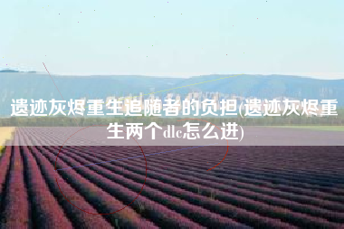 遗迹灰烬重生追随者的负担(遗迹灰烬重生两个dlc怎么进)