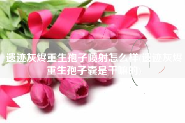遗迹灰烬重生孢子喷射怎么样(遗迹灰烬重生孢子囊是干嘛的)