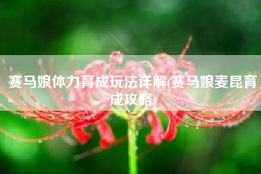 赛马娘体力育成玩法详解(赛马娘麦昆育成攻略)