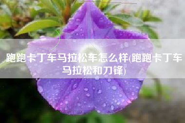 跑跑卡丁车马拉松车怎么样(跑跑卡丁车马拉松和刀锋)