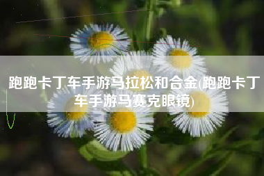 跑跑卡丁车手游马拉松和合金(跑跑卡丁车手游马赛克眼镜)