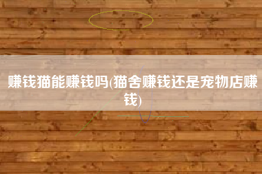 赚钱猫能赚钱吗(猫舍赚钱还是宠物店赚钱)