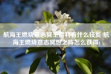 航海王燃烧意志冥王雷利有什么技能(航海王燃烧意志冥想之阵怎么获得)
