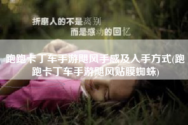 跑跑卡丁车手游飓风手感及入手方式(跑跑卡丁车手游飓风贴膜蜘蛛)