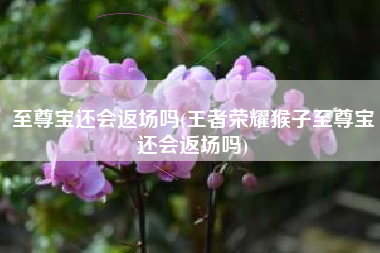 至尊宝还会返场吗(王者荣耀猴子至尊宝还会返场吗)