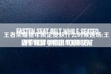 王者荣耀猪年限定皮肤什么时候返场(王者荣耀猪年限定皮肤图片)