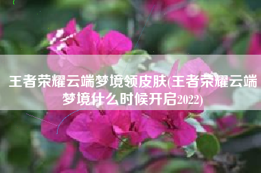 王者荣耀云端梦境领皮肤(王者荣耀云端梦境什么时候开启2022)