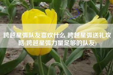跨越星弧队友喜欢什么 跨越星弧送礼攻略(跨越星弧力量足够的队友)